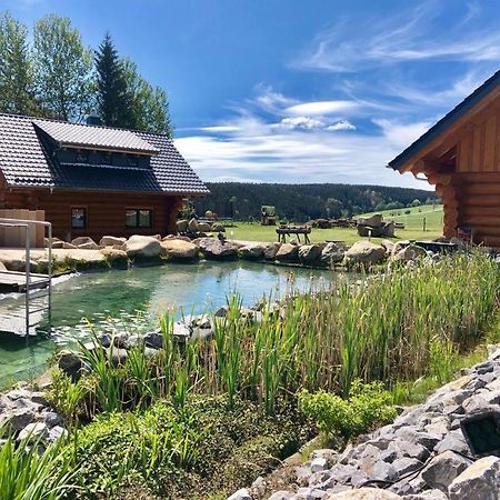 Naturstammhaus Und Appartements Zum Brockenbaecker ทานเนอ ภายนอก รูปภาพ
