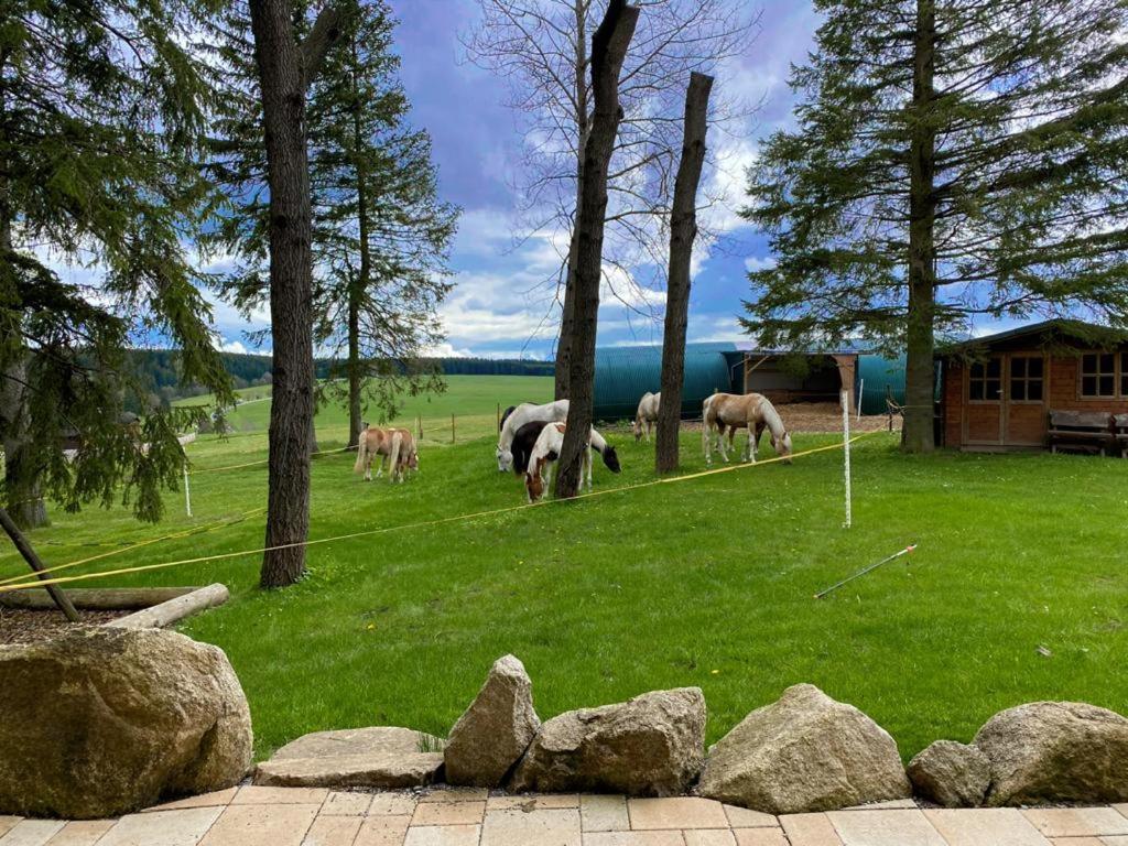Naturstammhaus Und Appartements Zum Brockenbaecker ทานเนอ ภายนอก รูปภาพ